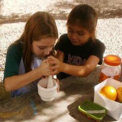 experimento de ciências