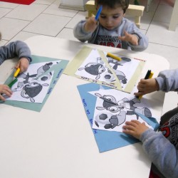 estudos sobre a copa