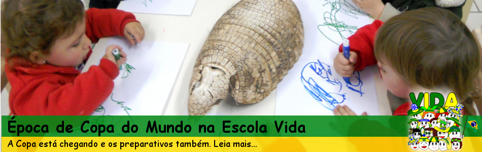 capa site é copa na vida