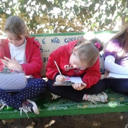 estudando a segunda guerra