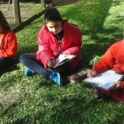 estudando a segunda guerra