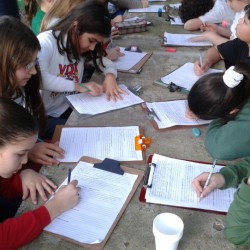 estudando a segunda guerra