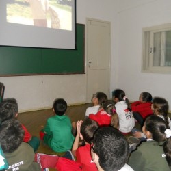 estudando a segunda guerra