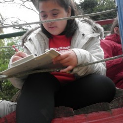 escrevendo textos