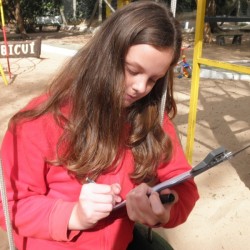 escrevendo textos