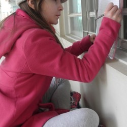 escrevendo textos