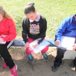 estudando a segunda guerra