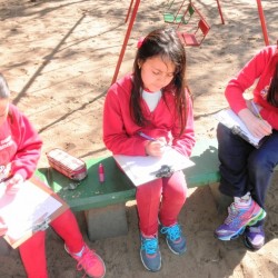 estudando a segunda guerra