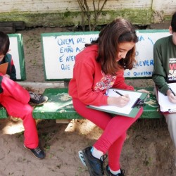 estudando a segunda guerra