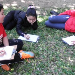 estudando a segunda guerra