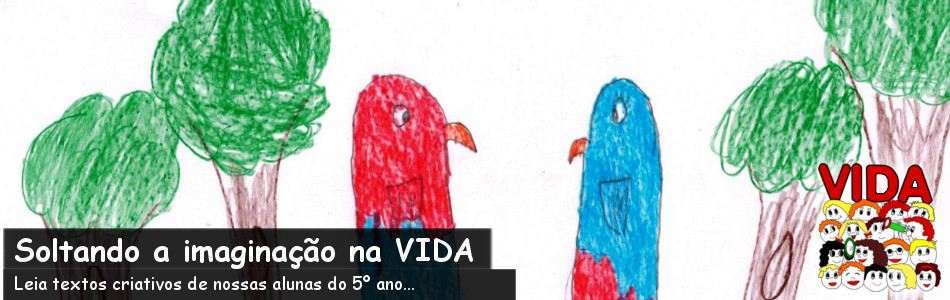 capa site: soltando a imaginação na VIDA