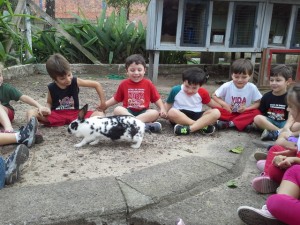 crianças brincando com coelho