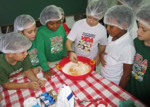 O estudo da energia na VIDA