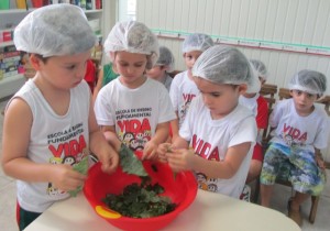 O estudo da energia na VIDA