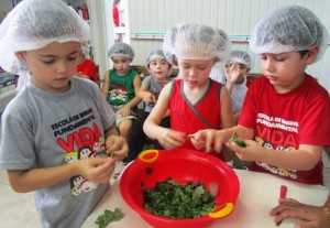 O estudo da energia na VIDA