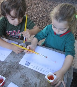 O estudo da energia na VIDA