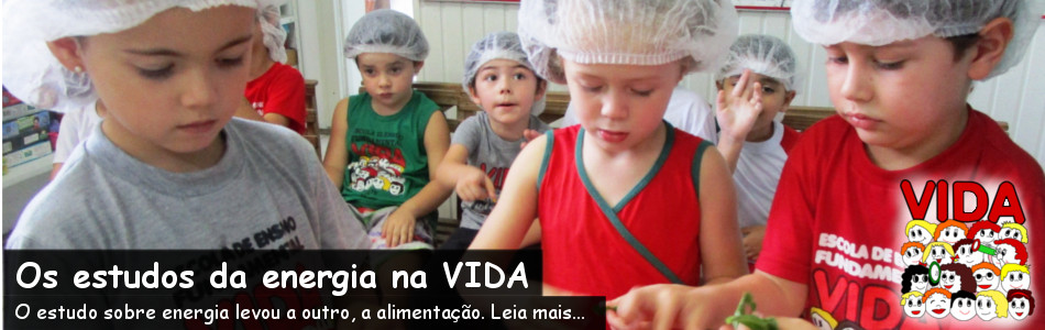O estudo da energia na VIDA