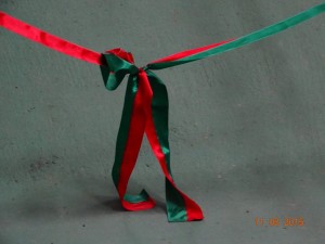 11000403_10204835578389740_8077322051386056190_n