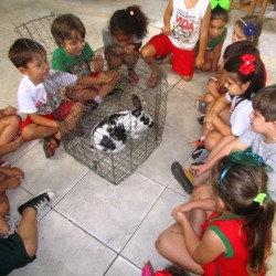 crianças com coelho