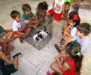 crianças com coelho