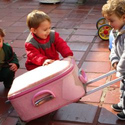 Nível Baby estudando as Olimpíadas