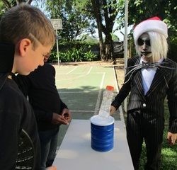 A HALLOWEEN FULL OF LIFE