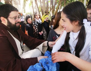 A HALLOWEEN FULL OF LIFE