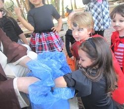 A HALLOWEEN FULL OF LIFE