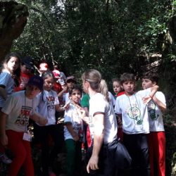 registro da viagem