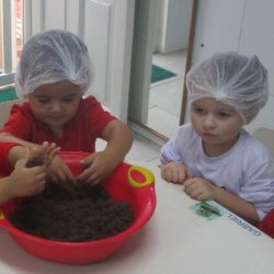 receita