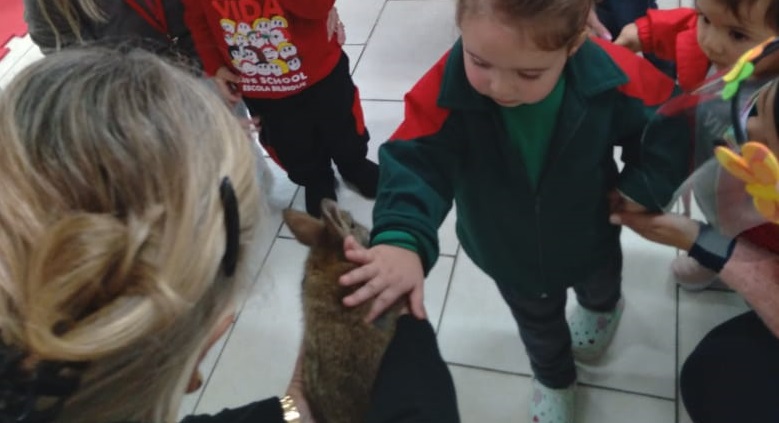 NOVOS MORADORES DO VIVEIRO!